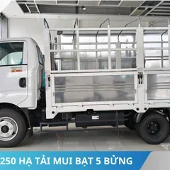 HÔNG XE TẢI KIA K250 HẠ TẢI MUI BẠT 5 BỬNG HÔNG XE TẢI KIA K250 HẠ TẢI MUI BẠT 5 BỬNG