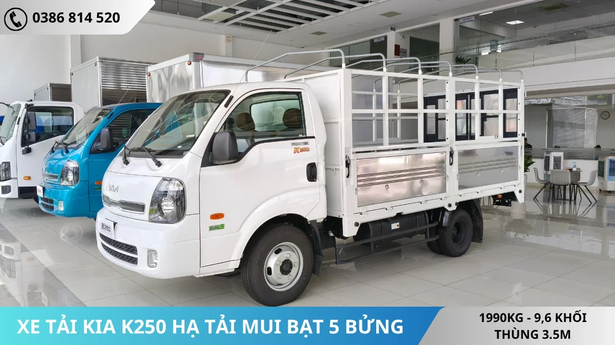 XE TẢI KIA K250 HẠ TẢI MUI BẠT 5 BỬNG XE TẢI KIA K250 HẠ TẢI MUI BẠT 5 BỬNG