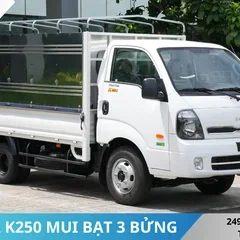 XE TẢI KIA K250 MUI BẠT MỞ 3 BỬNG
