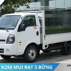 XE TẢI KIA K250 MUI BẠT MỞ 3 BỬNG