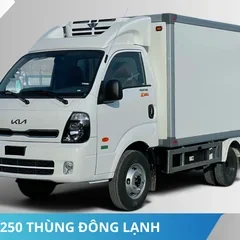 XE TẢI KIA K250 THÙNG ĐÔNG LẠNH MỚI XE TẢI KIA K250 THÙNG ĐÔNG LẠNH MỚI