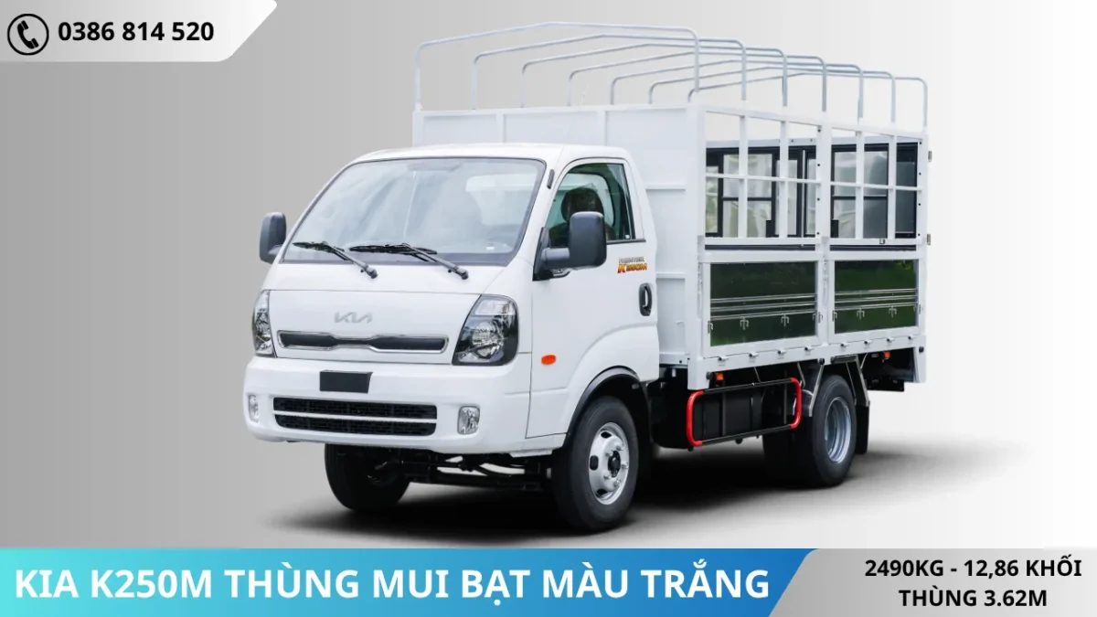Xe tải Kia K250M thùng mui bạt màu trắng Xe tải Kia K250M thùng mui bạt màu trắng